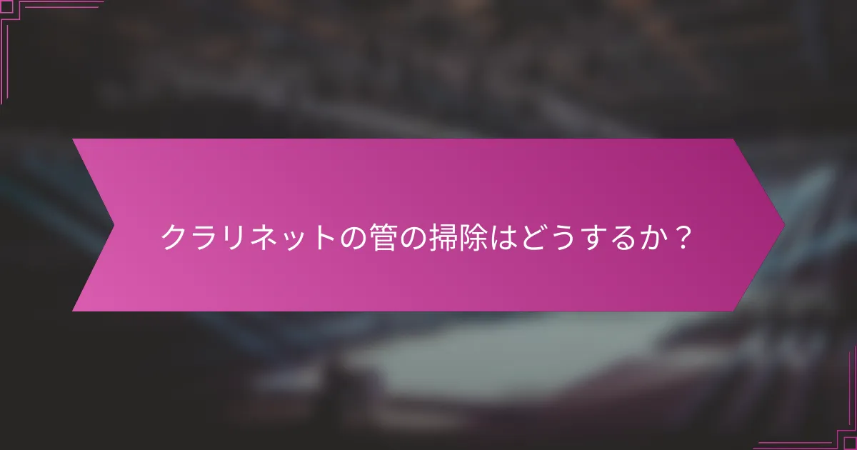 クラリネットの管の掃除はどうするか？