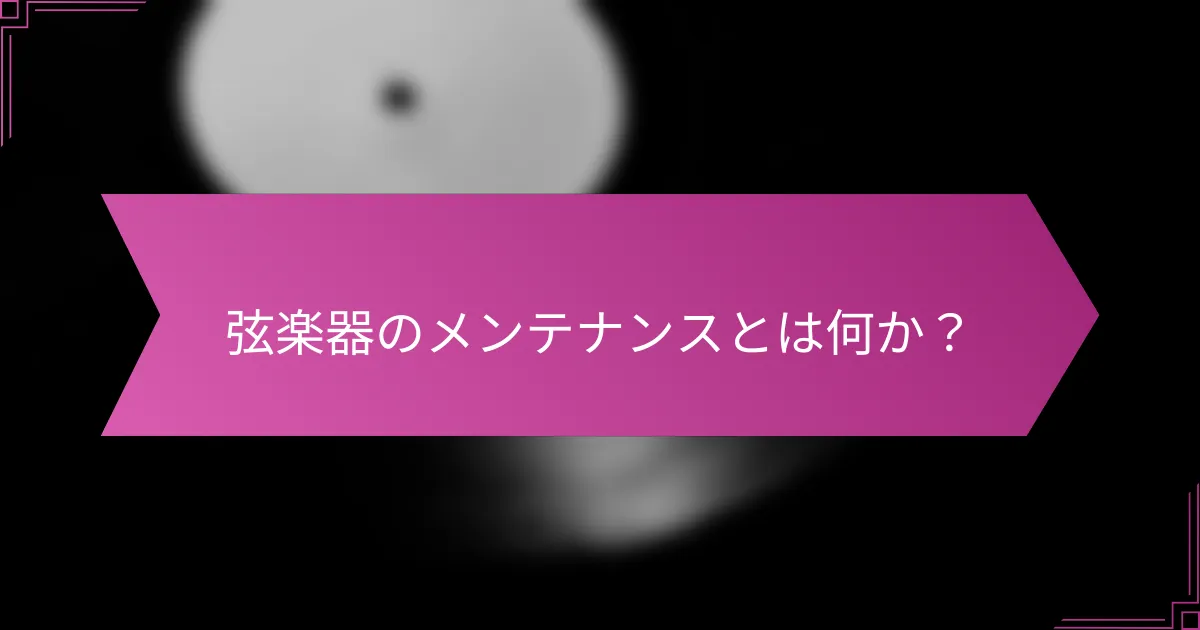 弦楽器のメンテナンスとは何か？